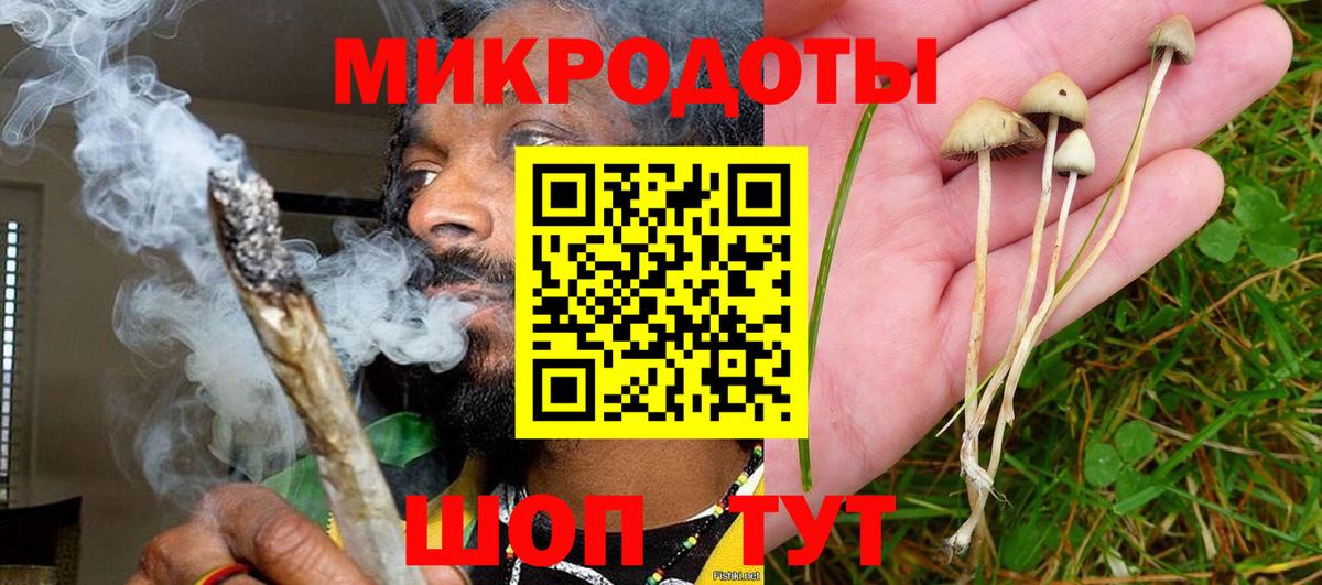 Псилоцибиновые грибы GOLDEN TEACHER Новоалтайск