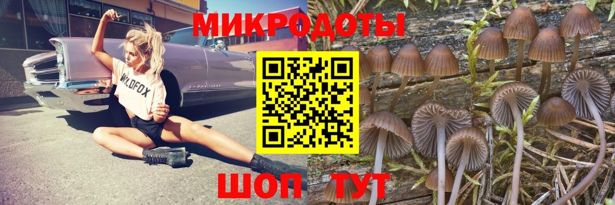 Галлюциногенные грибы ЛСД  Галлюциногенные грибы GOLDEN TEACHER  Новоалтайск 