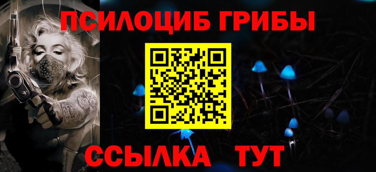 Галлюциногенные грибы прущие грибы Новоалтайск